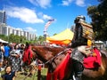 Samurai Armour cosplay on the horse.The image at Matsuri Japanese Festival.